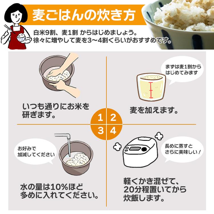 特選押麦 5kg×5 計25kg / チャック付 送料無料 大麦 国産 食物繊維 β