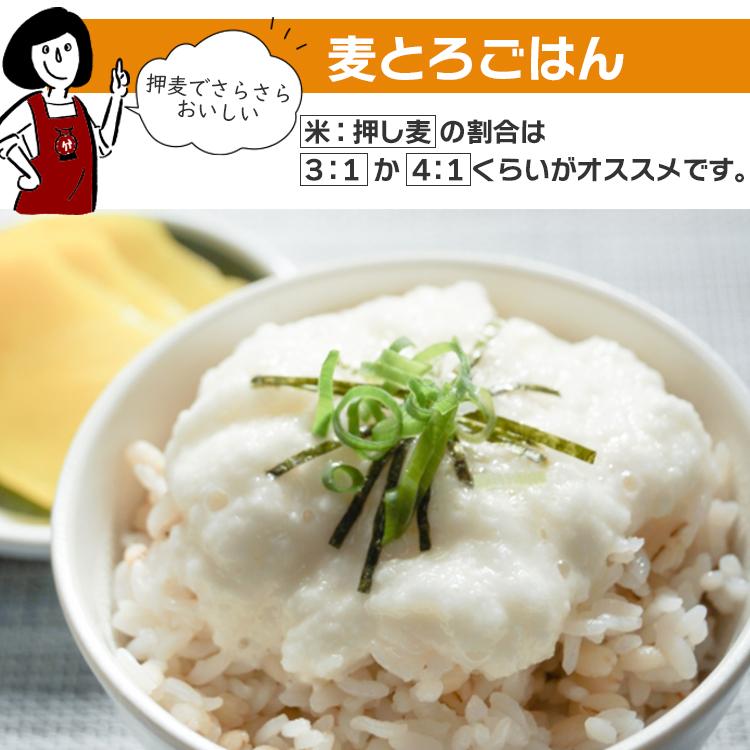 特選押麦 5kg×5 計25kg 国産 特選押麦 5kg×5 計25kg / チャック付 送料無料 大麦 国産 食物繊維 β