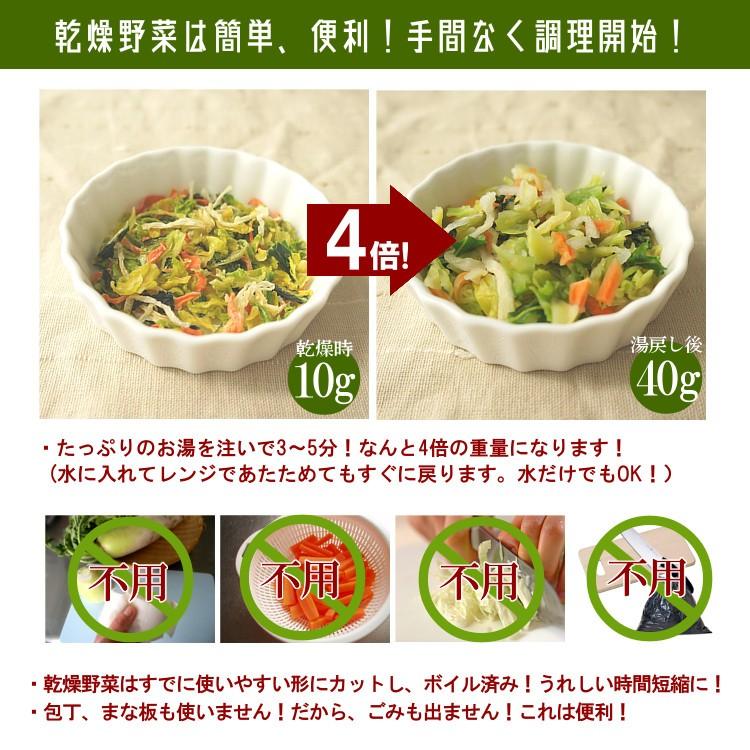 1072円 無料長期保証 緑黄色野菜使用 乾燥野菜ミックス チャック付き 200g 5個