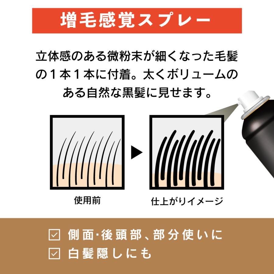 柳屋 トップシェード スピーディーヘアカバースプレー ラージ <自然な黒色> 250g×3個|koyama-p|02