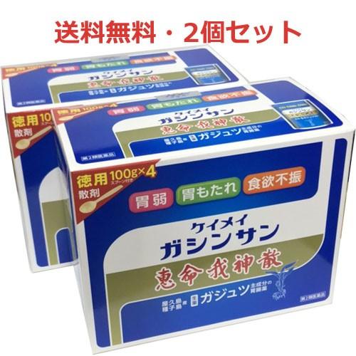 送料無料 恵命我神散 100g×4袋×2個 第2類医薬品けいめいがしんさん｜koyama-p