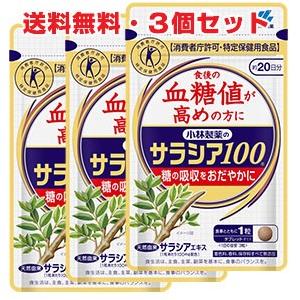 【3個セット】小林製薬 サラシア100 60錠(約20日分) ×3個 特定保健用食品｜koyama-p