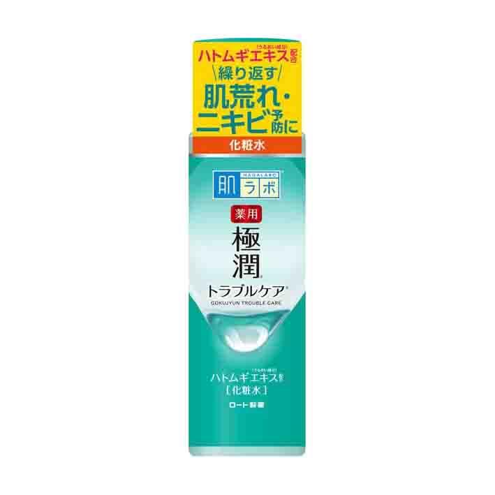 4987241138999 【48個入】 肌研（ハダラボ） 薬用極潤スキンコンディショナー 170ml【キャンセル不可】 肌ラボ ロート製薬 薬用 極潤 スキンコンディショナー 170mL : ヘルス