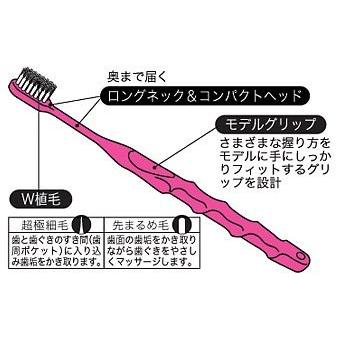 デントウェル 【12本セット】大正製薬 歯医者さんW植毛【やわらかめ