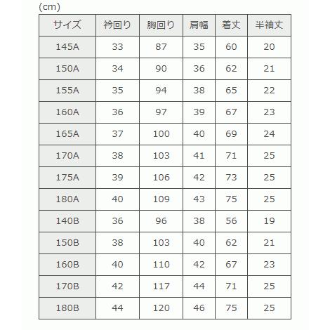 スクールブラウス 半袖 富士ヨット学生服 形態安定 半袖開衿ブラウス
