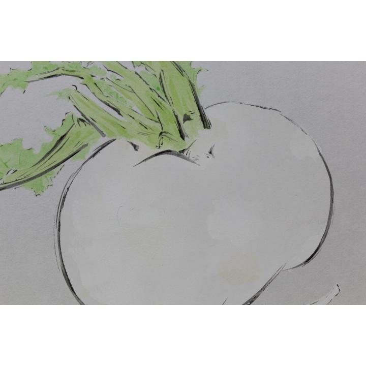 手染め友禅色紙 大色紙 蕪 かぶら 金潜紙 白扇面型 : 紙遊館 - 通販  