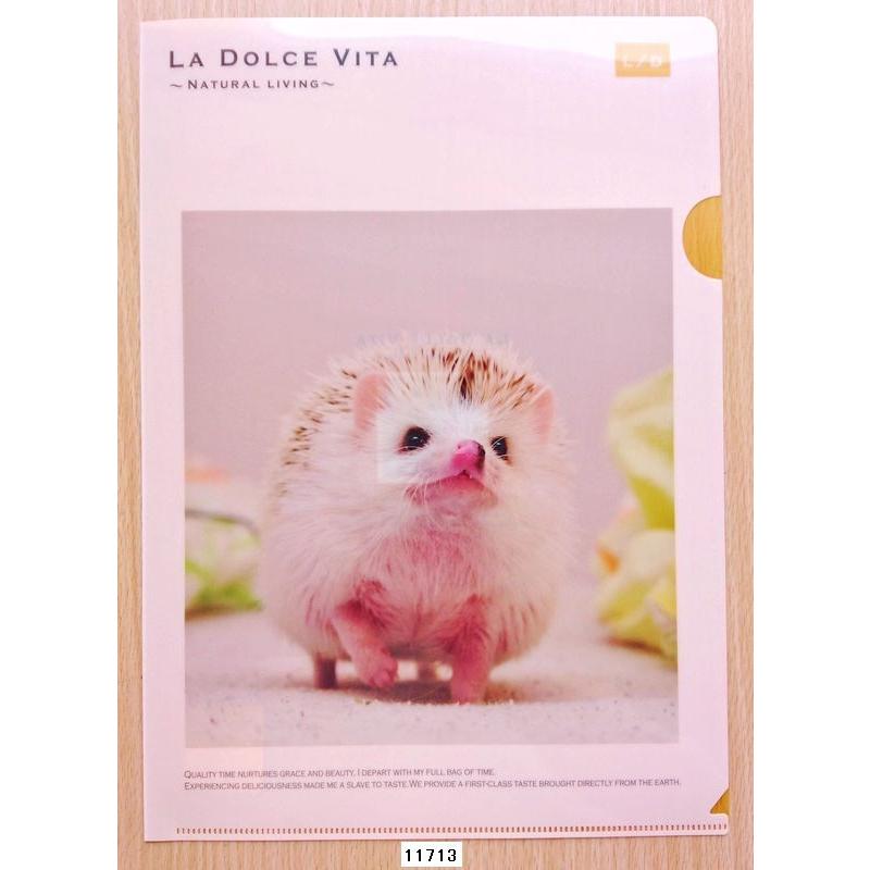 POOL SIDE（プール サイド） 2017年6月・マインドウェイブ クリア