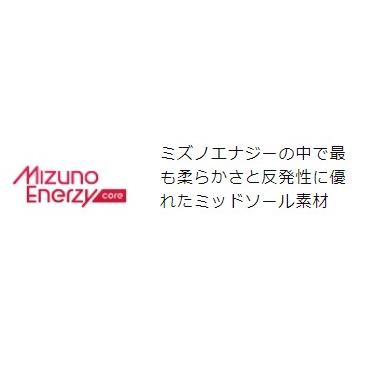 MIZUNO（ミズノ） 安全靴 送料無料 メンズ おまけつきNEW オール