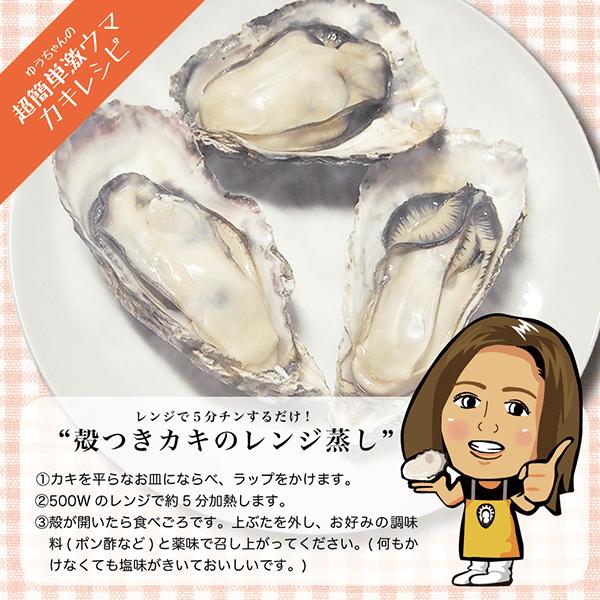 坂越産 殻付牡蠣 さこし３kg Koyu03 功結 こうゆう 水産 通販 Yahoo ショッピング