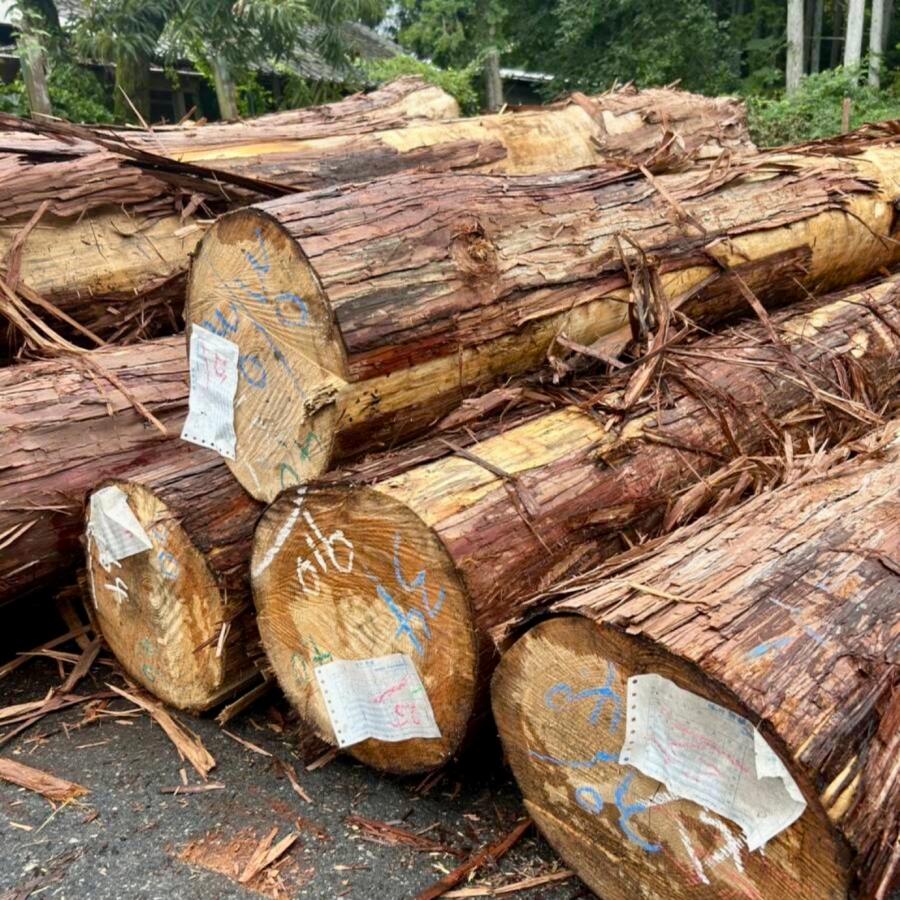 バレルサウナ　丹波産高級檜材使用（無垢材節なし）　 直径1800×奥行1800×厚40_5
