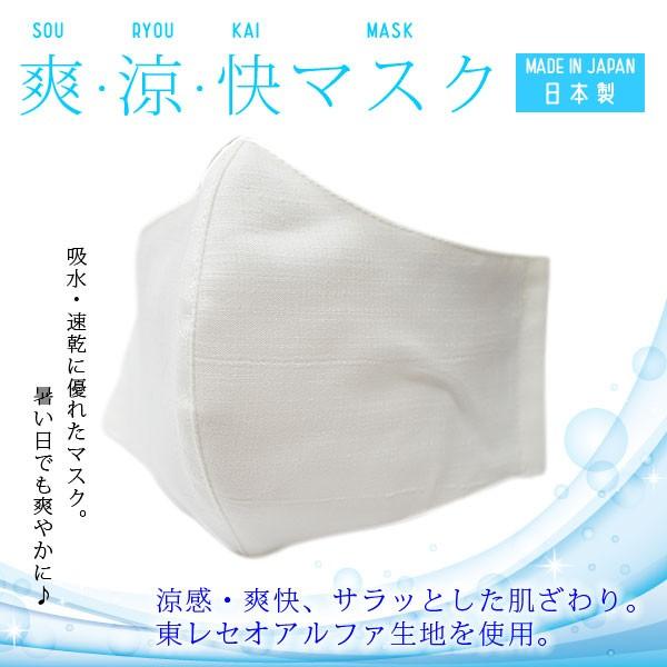 マスクシート10枚付 夏マスク 東レセオアルファ 日本製 洗える 吸水 速乾 爽 涼 快マスク Tk 113 ゆうメール送料無料 U01 Tk 113 和の心 小雪 通販 Yahoo ショッピング