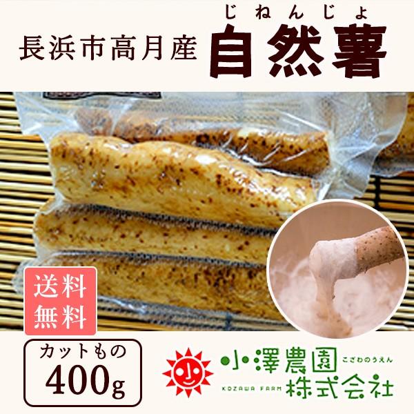 自然薯 カット 400g 滋賀県 長浜市 高月産 強い粘り 滋養強壮 伸び 老化防止 山芋 送料無料【売り切れました】 | 