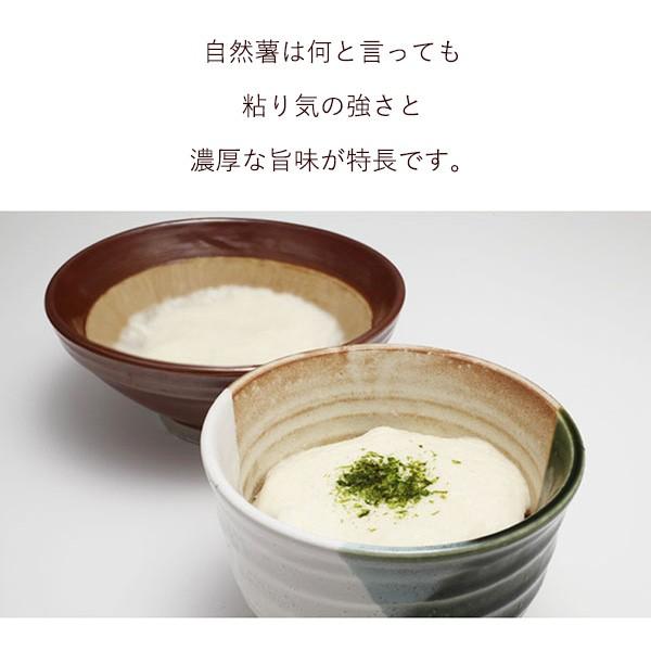 自然薯 カット 400g 滋賀県 長浜市 高月産 強い粘り 滋養強壮 伸び 老化防止 山芋 送料無料【売り切れました】 |  | 01