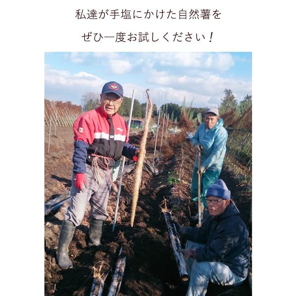 自然薯 カット 400g 滋賀県 長浜市 高月産 強い粘り 滋養強壮 伸び 老化防止 山芋 送料無料【売り切れました】 |  | 03
