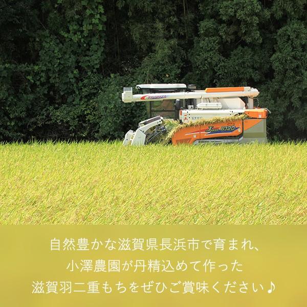 令和5年産【新米】もち米 滋賀羽二重餅米 白米 3kg 滋賀県 長浜市 高月産 最高級糯米 粘り 伸び コシ きめ細かい 減農薬 送料無料【売り切れました】｜kozawa-nouen｜04