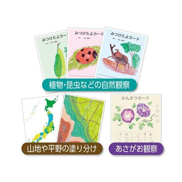 （まとめ） ぺんてる 小学校色えんぴつ12色+3色（各色1本） GCG1-12P3 1個 〔×5セット〕
