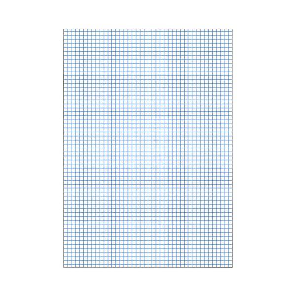(まとめ）マルマン A4レポートパッド5mm方眼罫 P144A〔×20セット〕の画像