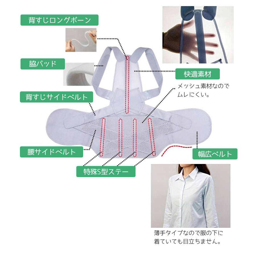 お医者さんの腰から正す姿勢ベルト 介護 腰ベルト 腰痛ベルト