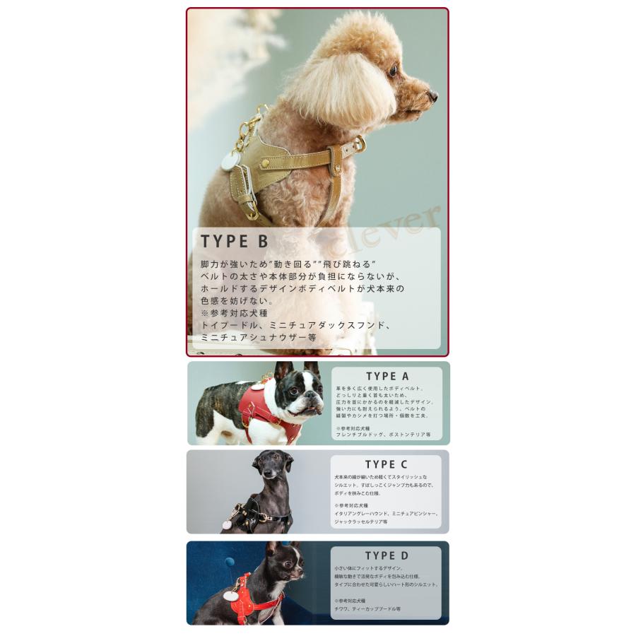Now&Fountain ボディーベルト Bタイプ ジュエリーエンボス Now&Fountain ボディーベルト Bタイプ ジュエリーエンボス