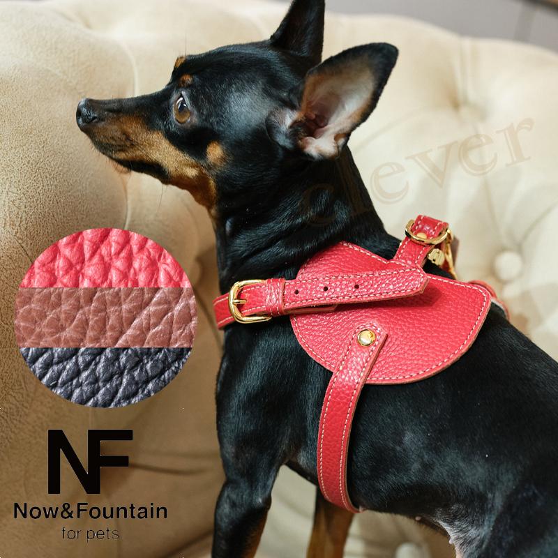 Now&Fountain ボディーベルト Cタイプ ナチュラルスキン リング