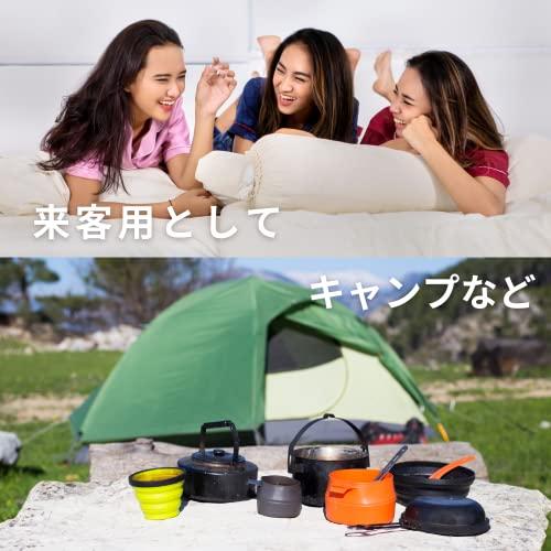 歯ブラシ ホテルアメニティ 業務用 使い捨て 250本 〈 日本製 /高級感