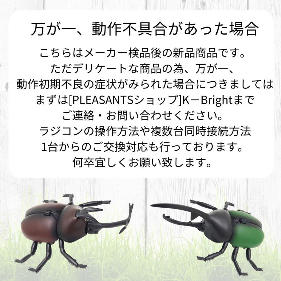 まるで本物!リアルに動く!】 昆虫 ラジコン カブトムシ 4種 アソート