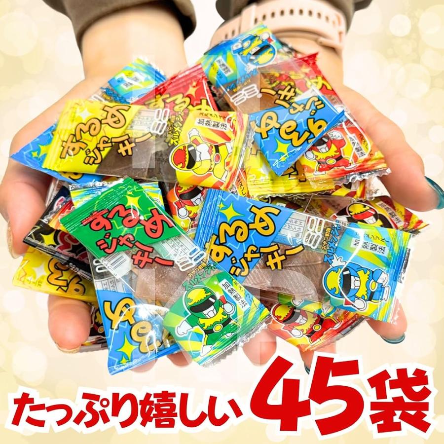 タクマ食品 するめ ジャーキー ミニ 45袋 セット 個包装 小分けパック