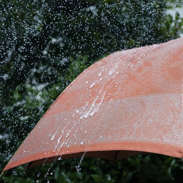 槙田商店　傘　晴雨兼用　UV 甲州織　絵おり　百合　和 上品な高級感があるレディース折りたたみ傘！晴雨兼用雨傘8本骨55cm