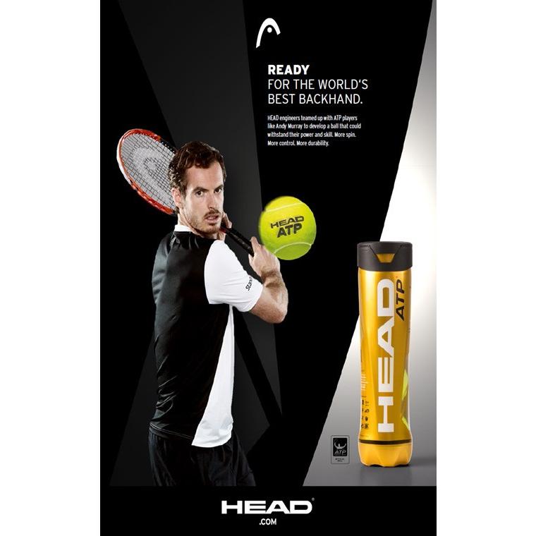 ランキング上位のプレゼントランキング上位のプレゼントHEAD ヘッド HEAD ATP 4球入り2箱 36缶 144球 570674 テニスボール  『即日出荷』 ボール