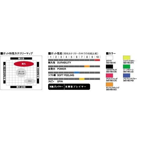 GOSEN ゴーセン 「マルチレイドアールフォーエックス ツヨシ R4X TSUYOSHI 」bs160バドミントンストリング ガット｜kpi｜02