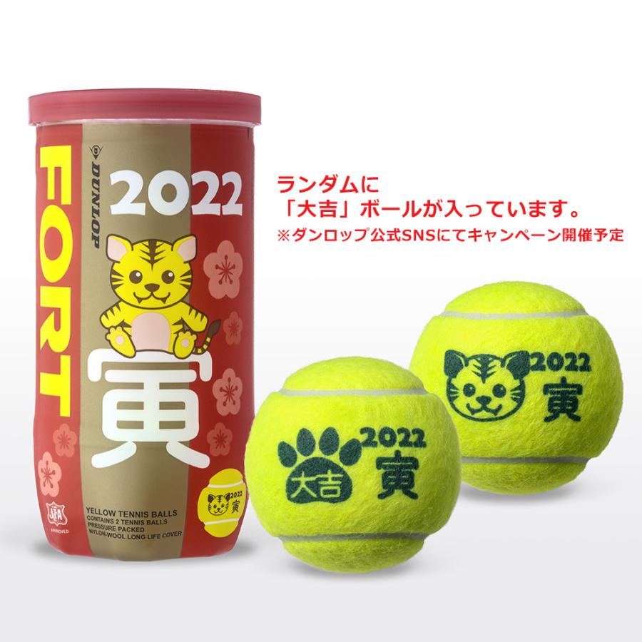 365日出荷」ダンロップ DUNLOP 硬式テニスボール 干支ボール 2022年