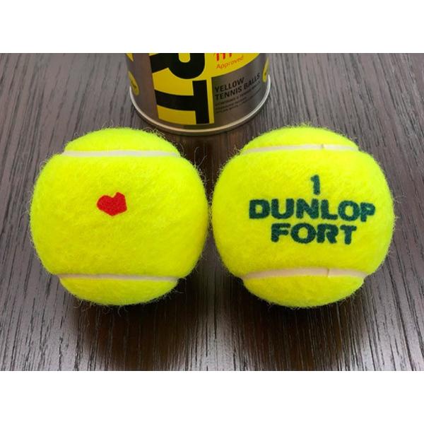 「KPIオリジナルモデル」DUNLOP ダンロップ 「FORT フォート [2個入] 1缶/2球 」テニスボール 『即日出荷』｜kpi｜02