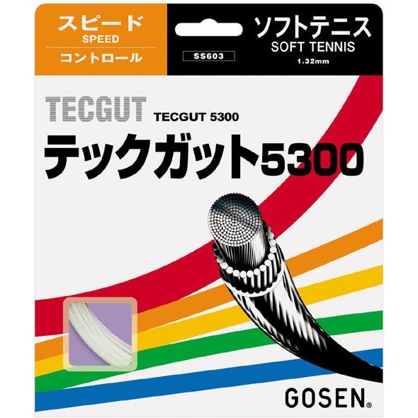 GOSEN ガット張り ゴーセンGOSENガット張り機 ストリングマシン ストリングマシンの保証
