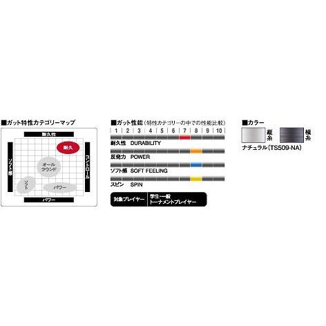 「■5張セット」GOSEN ゴーセン 「ハイブリッド剛戦Ｘ9」ts509 硬式テニスストリング ガット 『即日出荷』｜kpi｜02