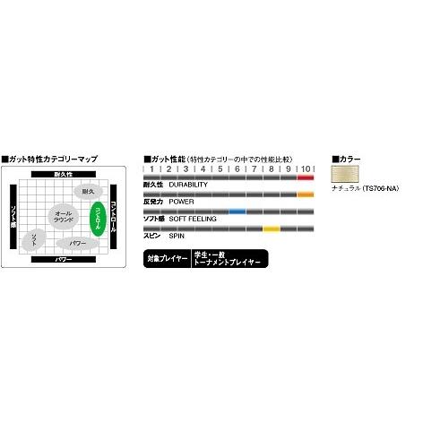 □5張セット」GOSEN ゴーセン 「ウミシマAKプロ16」ts706硬式テニス 