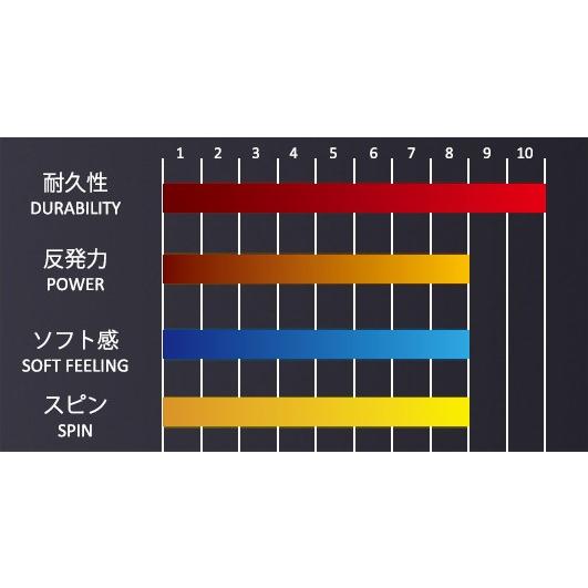 GOSEN ゴーセン 「ウミシマ AKプロCX16」TS760 硬式テニスストリング