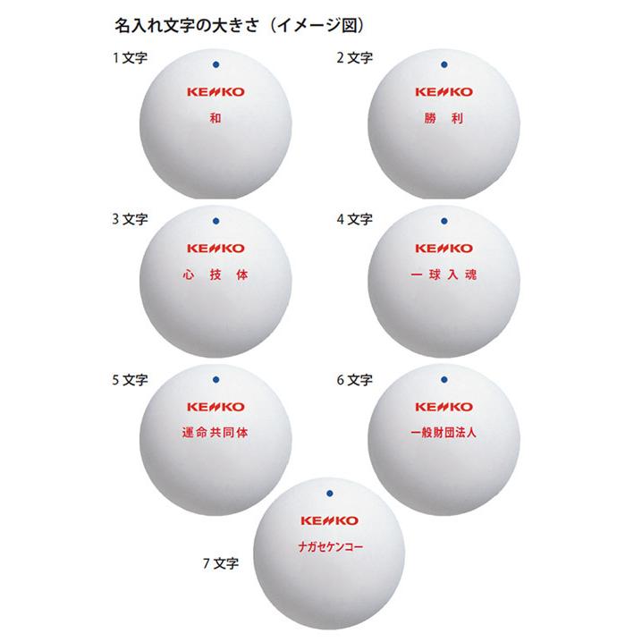 ネーム入れ」ケンコー 公認球 ソフトテニスボールかご入りセット 10