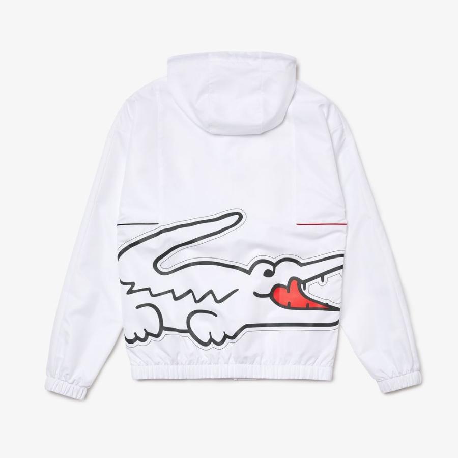 ラコステ LACOSTE テニスウェア メンズ ダイヤリップストップセットアップトラックスーツ WH0879L-GHU 2022SS 『即日出荷』