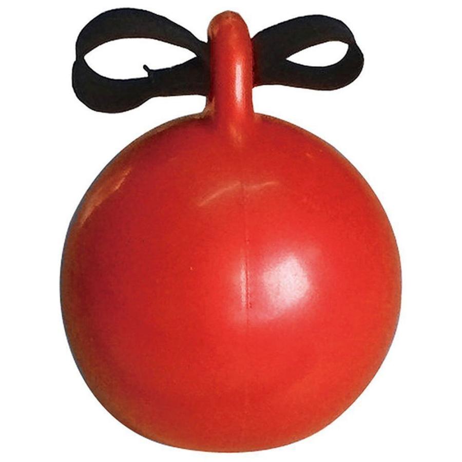 ユニックス マルチSPその他 クラスプトレーニングボール φ75mm・350g