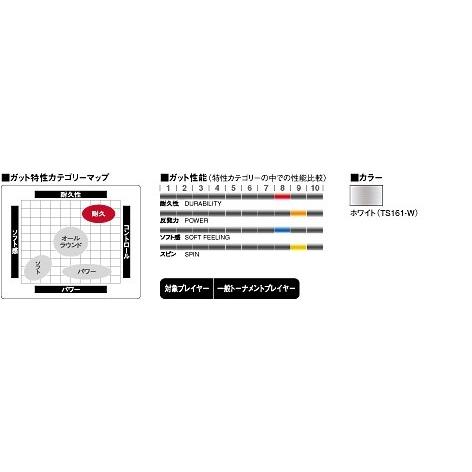 訳あり処分価格」 GOSEN ゴーセン 「ポリロンポリブレイク17 200m