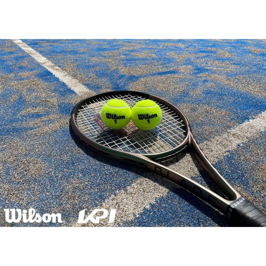 大割引 365日出荷 Wilson ウイルソン Championship Extra Duty チャンピオンシップエクストラデューティー 1箱 3球入 12缶 Wrt テニスボール 即日出荷 Cisama Sc Gov Br