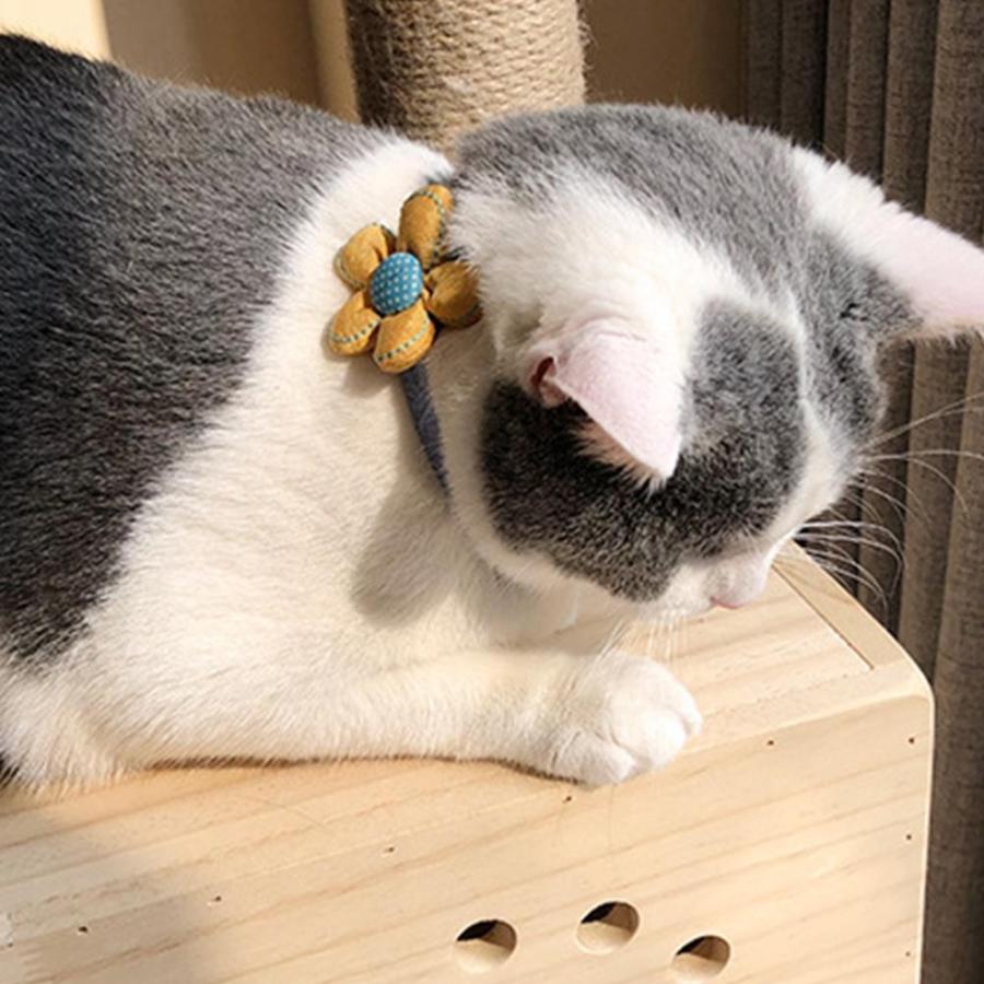 原価割れ 最終値下げ 1580円 0円 猫 首輪 お花の飾り付きパステルカラーのかわいい猫用首輪 ちょっと特別な日のオシャレに Pet 009 横浜元町cat Diva 通販 Yahoo ショッピング
