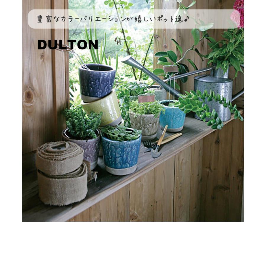 DULTON ダルトン カラーグレーズポット 植木鉢 鉢 フラワーポット 多肉