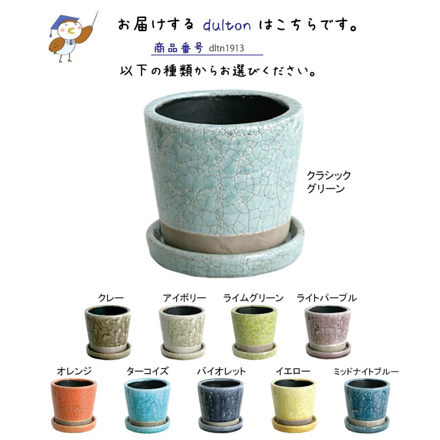 DULTON ダルトン カラーグレーズポット 植木鉢 鉢 フラワーポット 多肉