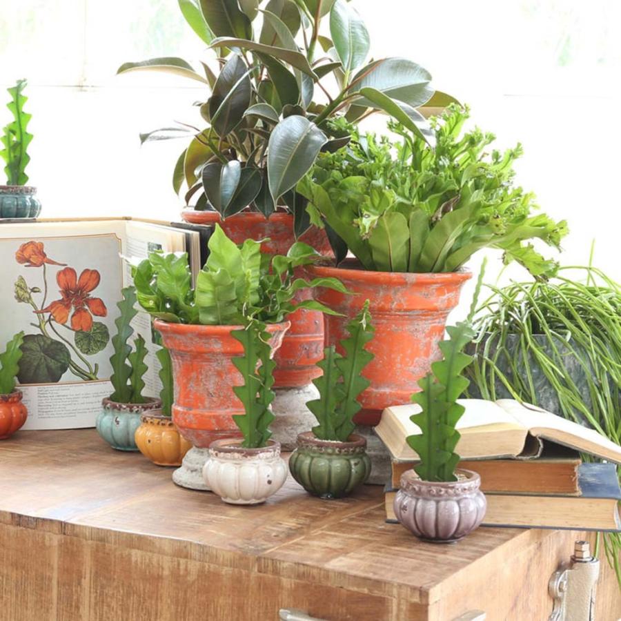 アラゴン オレンジポット M 観葉植物 多肉植物 ポットカバー 陶器 インテリアリビング 小さめ かわいい 高級感 底穴無し 小物入れ くず入れ 玄 Dltn3075 デザイン雑貨 家具 ワカバマート 通販 Yahoo ショッピング