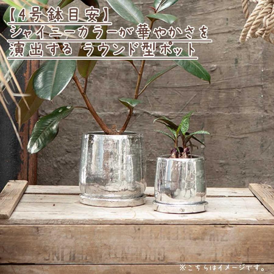 ラウンド ポット M DULTON ダルトン フラワーポット 植木鉢 鉢 底穴