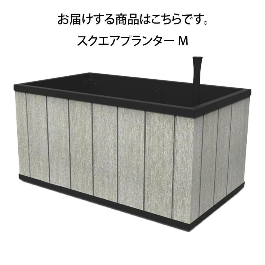 スクエアプランター M プランター 鉢植え 植木鉢 樹脂製 プラスチック