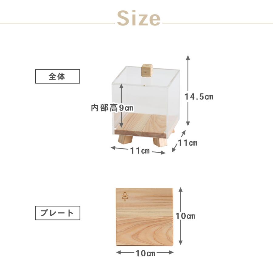 A+ (アクセントプラス) リコメンケースSサイズ ショーケース ケーキ