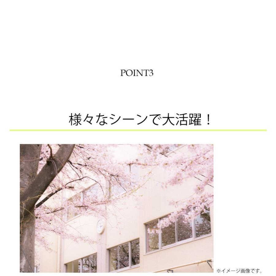SEIKO（セイコー） 掛け時計 壁掛け時計 掛時計 大型掛け時計 屋外 防