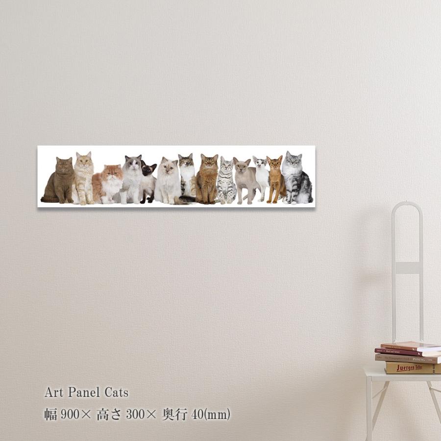 アートパネル Cats 絵画 猫 壁掛け 壁飾り 写真 ポスター 動物 額縁なし フレームレス パネル フレームなし おしゃれ キャンバス 飾る Sinw1517 デザイン雑貨 家具 ワカバマート 通販 Yahoo ショッピング